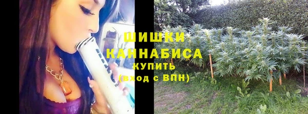 spice Балахна