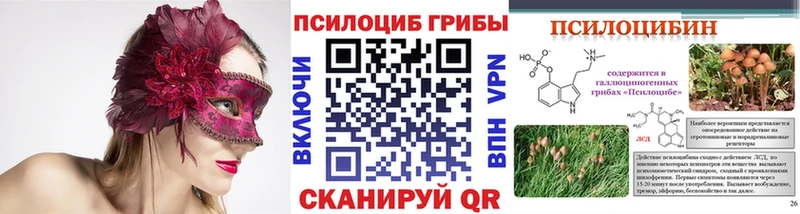 Псилоцибиновые грибы Psilocybe  blacksprut ссылки  Среднеуральск 