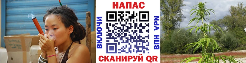 купить  сайты  Среднеуральск  Конопля Bruce Banner 